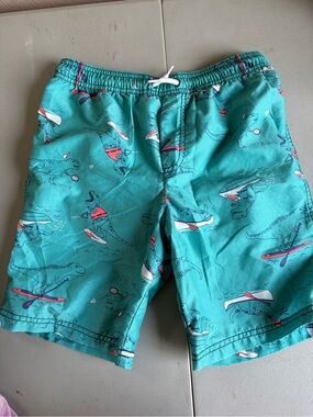 Dinosaur Swim Trunks